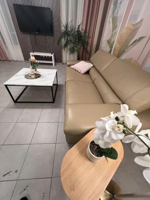 Esprit Palace, Coeur De Appartement